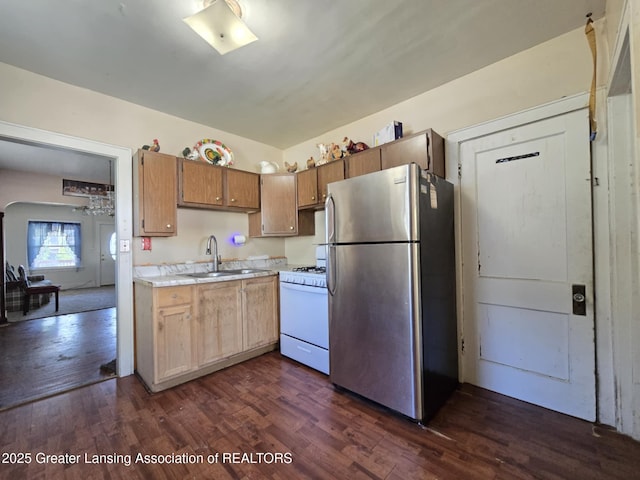 1045 N Larch St, Lansing, MI 48906 - kitchen with freestanding refrigerator, a sink, gas range gas stove, light countertops, and dark wood finished floors