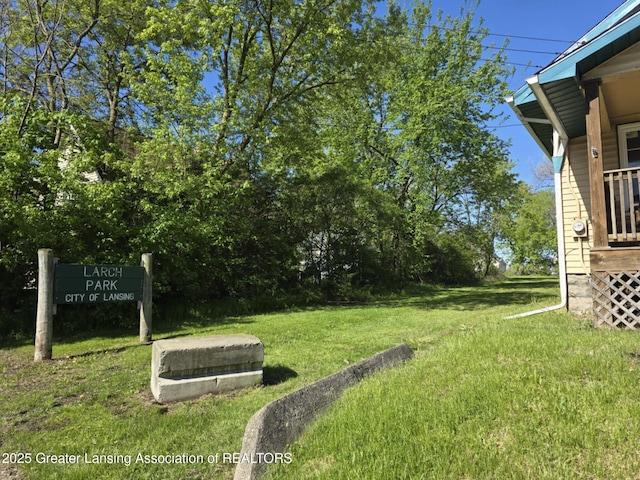 1045 N Larch St, Lansing, MI 48906 - view of green lawn