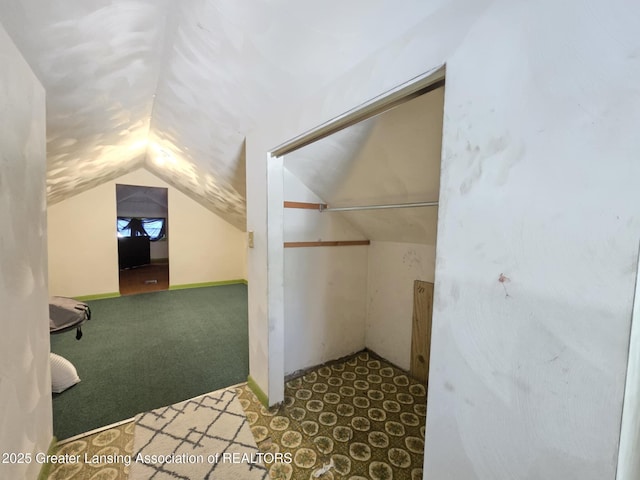 1045 N Larch St, Lansing, MI 48906 - additional living space featuring lofted ceiling and carpet floors