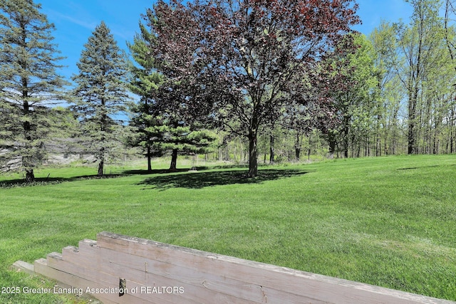 3522 Josette Ln, Lansing, MI 48906 - photo 12