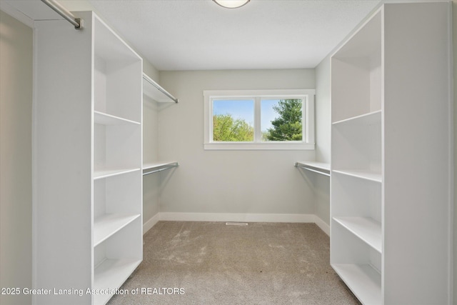 263 E Sherwood Rd, Williamston, MI 48895 - spacious closet featuring carpet floors