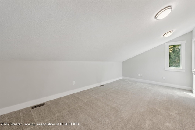 263 E Sherwood Rd, Williamston, MI 48895 - additional living space featuring lofted ceiling, carpet floors, baseboards, and a textured ceiling