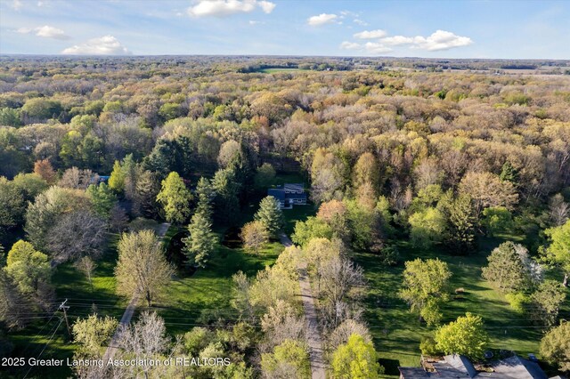 263 E Sherwood Rd, Williamston, MI 48895 - bird's eye view of a forest