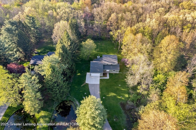 263 E Sherwood Rd, Williamston, MI 48895 - view of subject property with a forest