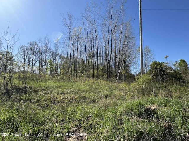 LotC Stoney Lane, Eaton Rapids, MI 48827