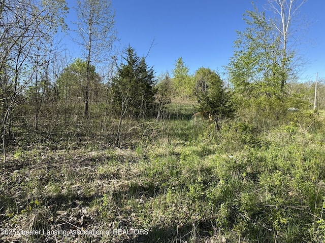 LotC Stoney Lane, Eaton Rapids, MI 48827