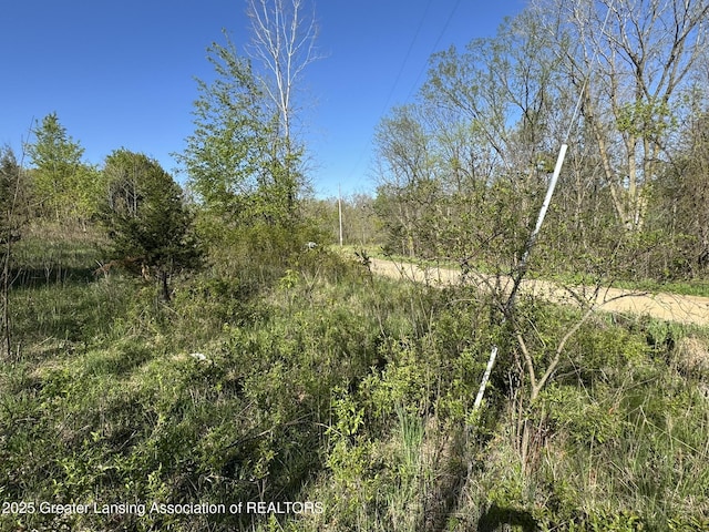 LotC Stoney Lane, Eaton Rapids, MI 48827