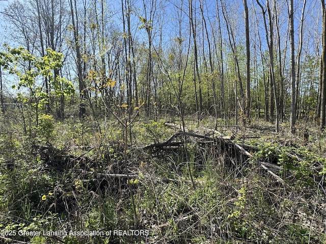LotC Stoney Lane, Eaton Rapids, MI 48827