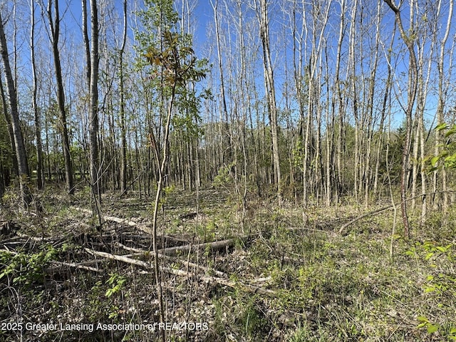 LotC Stoney Lane, Eaton Rapids, MI 48827