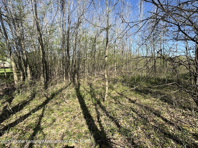 LotC Stoney Lane, Eaton Rapids, MI 48827