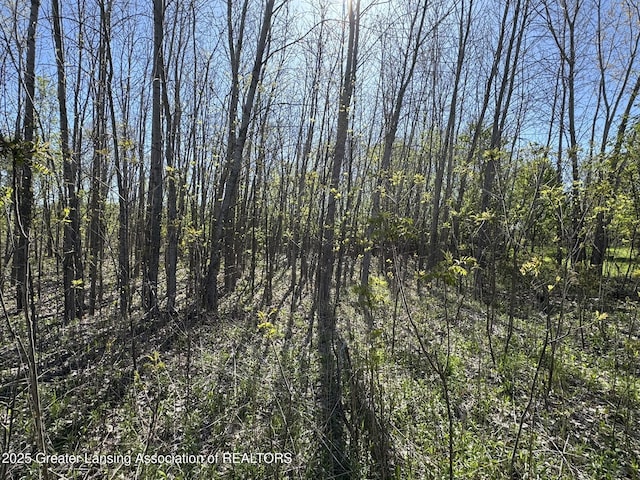 LotC Stoney Lane, Eaton Rapids, MI 48827