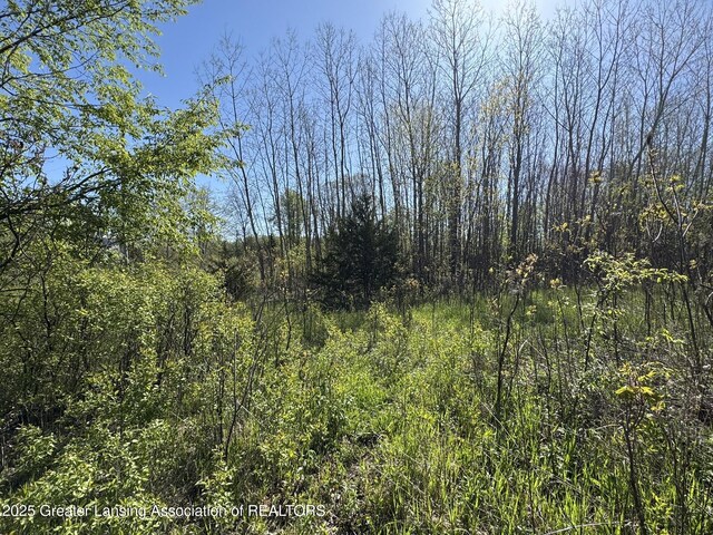 LotC Stoney Lane, Eaton Rapids, MI 48827