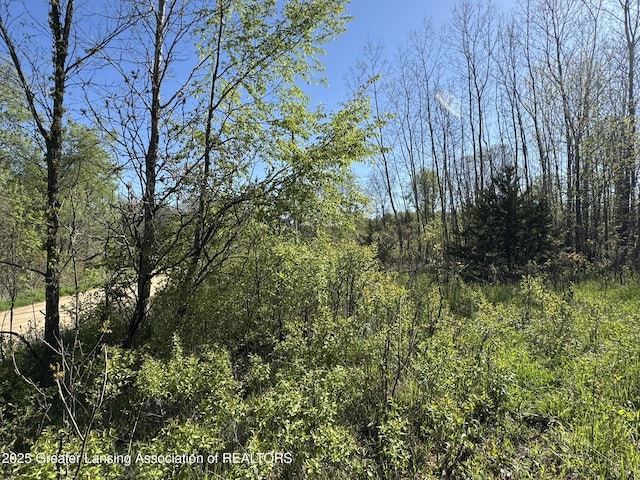 LotC Stoney Lane, Eaton Rapids, MI 48827