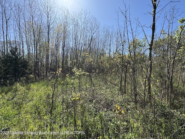 LotC Stoney Lane, Eaton Rapids, MI 48827