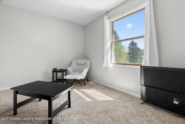 living area featuring carpet floors and baseboards