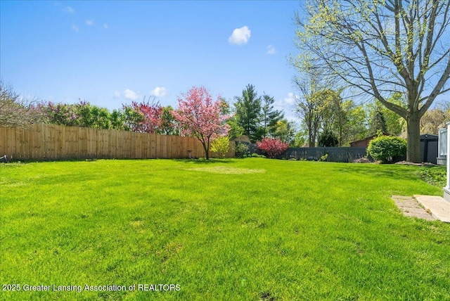 view of yard