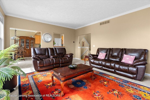 3837 Plover Pl, East Lansing, MI 48823 - living area with carpet floors, a textured ceiling, ornamental molding, and baseboards