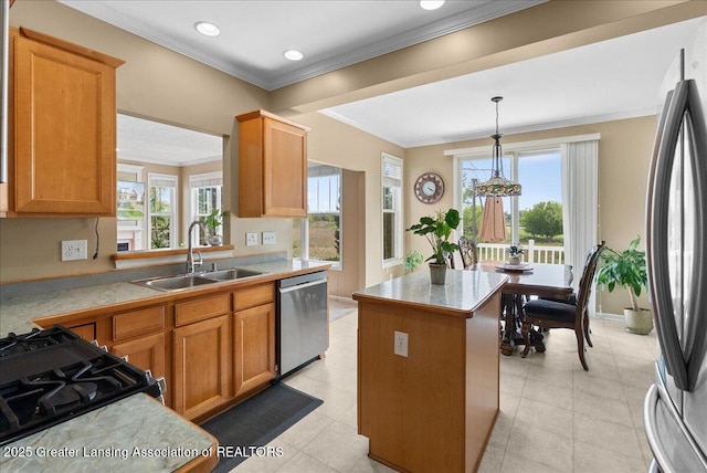 3837 Plover Pl, East Lansing, MI 48823 - kitchen with a sink, stainless steel appliances, a center island, plenty of natural light, and crown molding