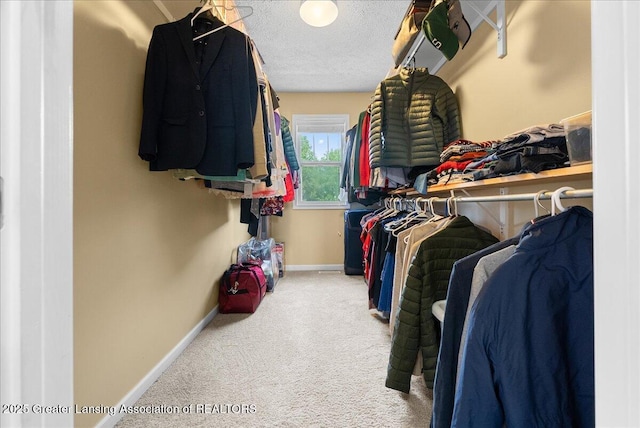 3837 Plover Pl, East Lansing, MI 48823 - walk in closet featuring carpet flooring