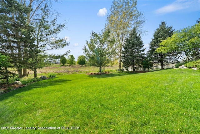 3837 Plover Pl, East Lansing, MI 48823 - view of yard