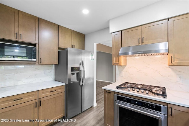 1263 Leeward Dr, Okemos, MI 48864 - kitchen featuring stainless steel appliances, under cabinet range hood, light wood-style floors, light countertops, and tasteful backsplash