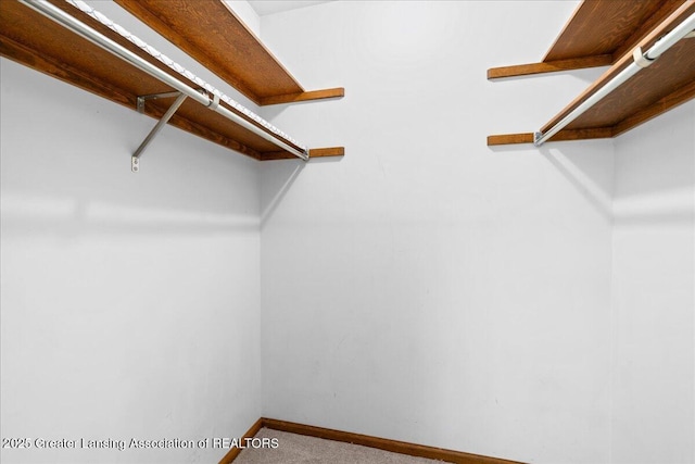 1263 Leeward Dr, Okemos, MI 48864 - spacious closet featuring carpet floors