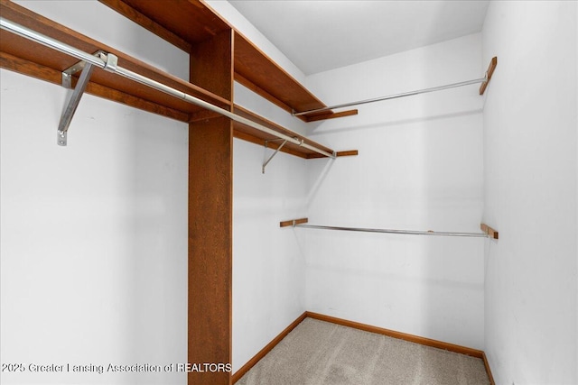 1263 Leeward Dr, Okemos, MI 48864 - spacious closet featuring carpet floors