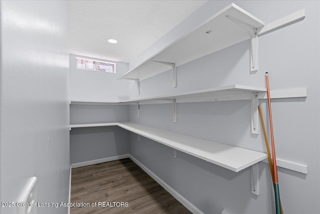 1263 Leeward Dr, Okemos, MI 48864 - view of storage