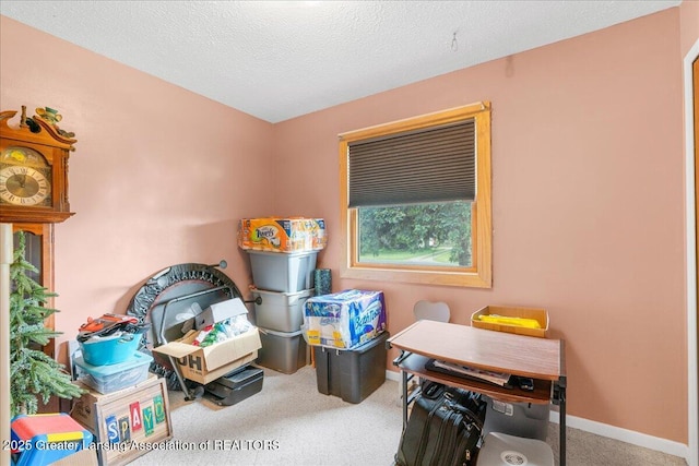 10111 Kinneville Rd, Eaton Rapids, MI 48827 - playroom featuring carpet, baseboards, and a textured ceiling