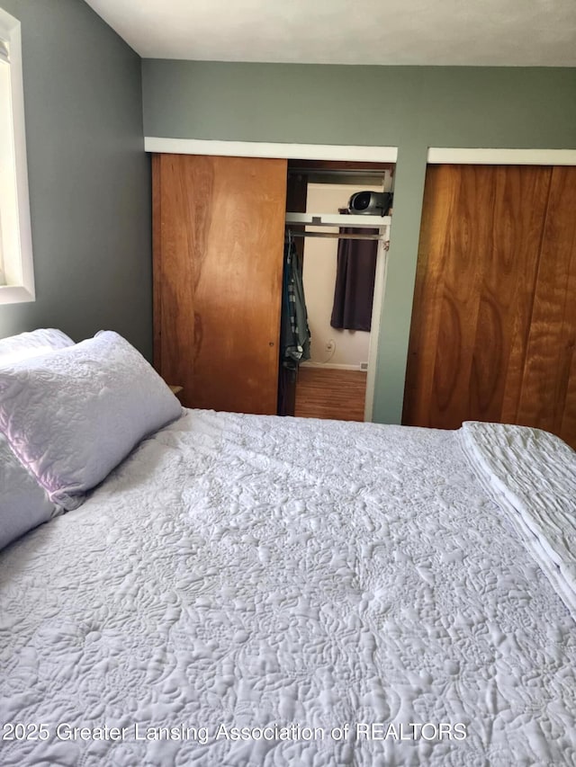 1048 Chris J Dr, Lansing, MI 48917 - bedroom with multiple closets