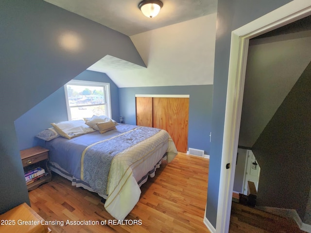 1048 Chris J Dr, Lansing, MI 48917 - bedroom with wood finished floors, vaulted ceiling, and a closet