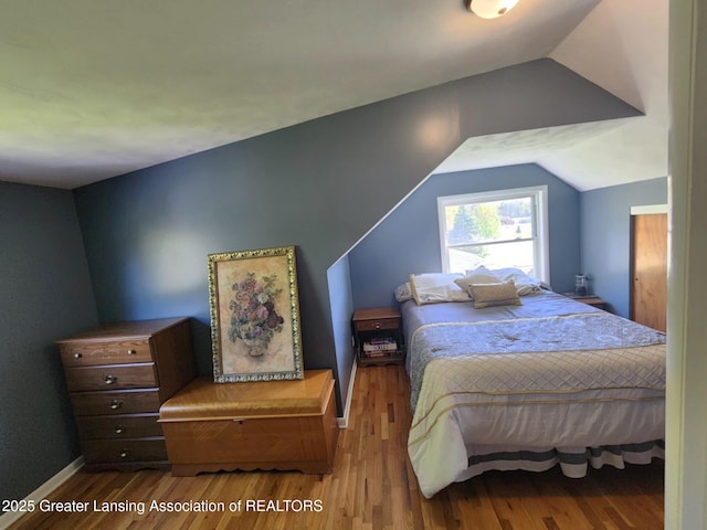 1048 Chris J Dr, Lansing, MI 48917 - bedroom with wood finished floors, vaulted ceiling, and baseboards