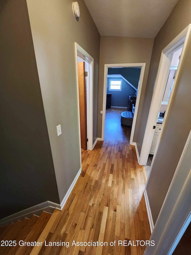 1048 Chris J Dr, Lansing, MI 48917 - corridor with light wood finished floors and baseboards