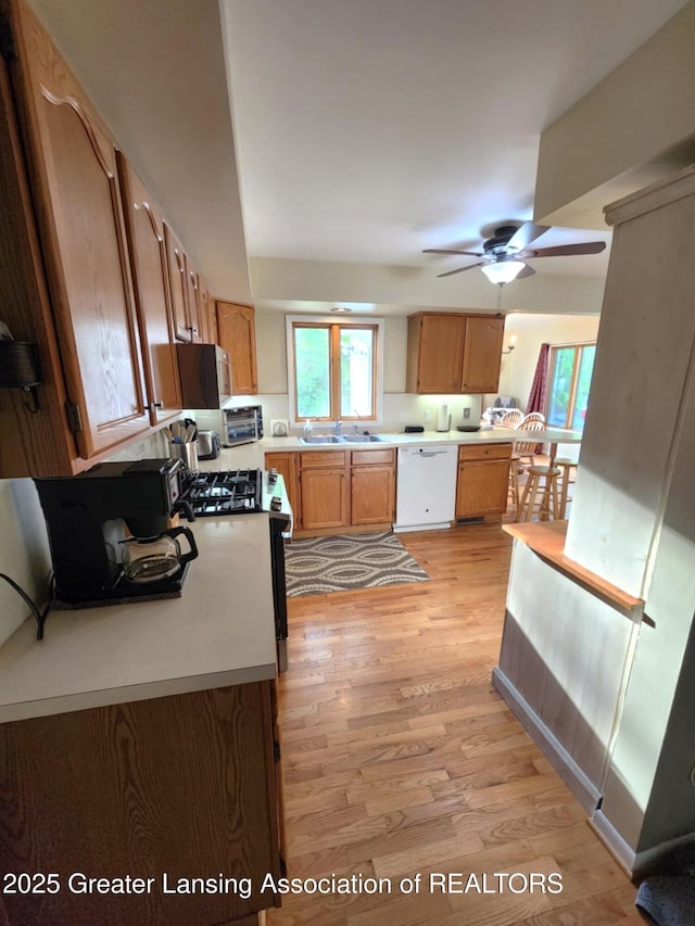 1048 Chris J Dr, Lansing, MI 48917 - kitchen featuring white appliances, a sink, light wood-style floors, a ceiling fan, and light countertops