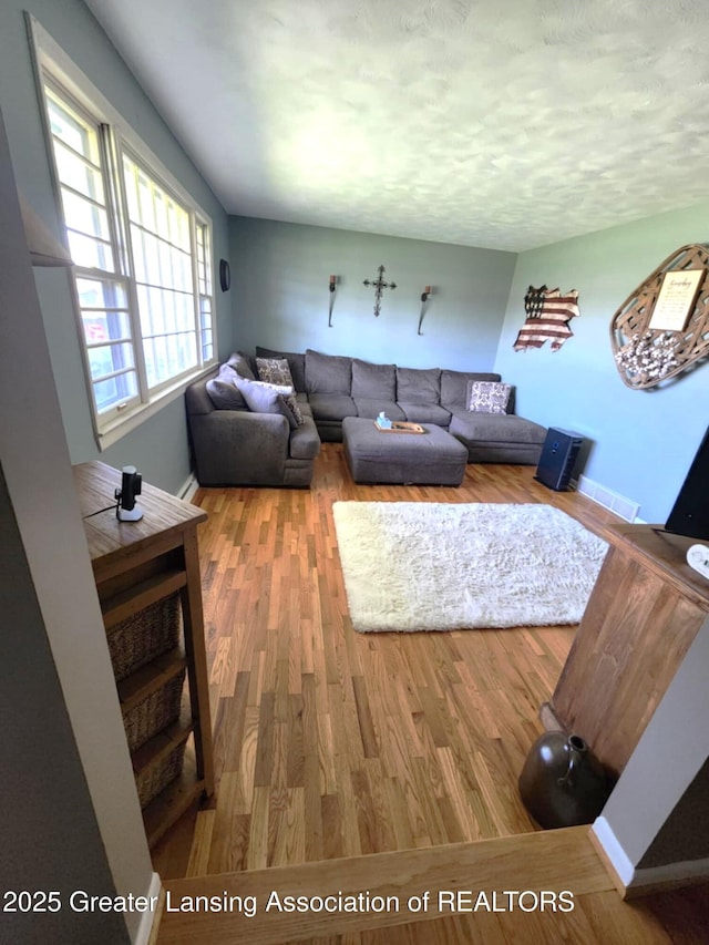 1048 Chris J Dr, Lansing, MI 48917 - living area with wood finished floors, baseboards, and a textured ceiling