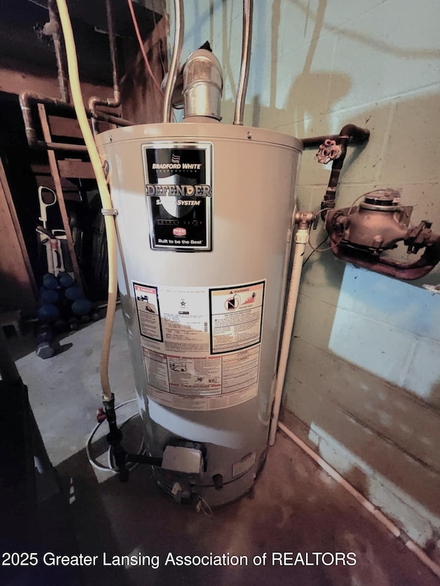1048 Chris J Dr, Lansing, MI 48917 - utilities featuring gas water heater