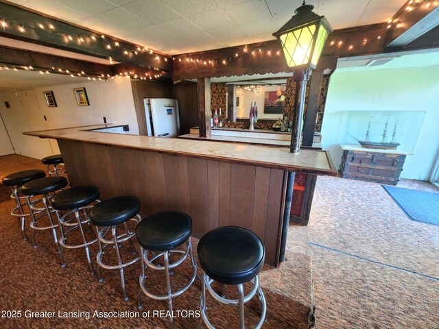 1048 Chris J Dr, Lansing, MI 48917 - indoor bar with fridge, water heater, and carpet floors
