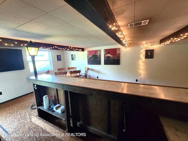 1048 Chris J Dr, Lansing, MI 48917 - view of bar area
