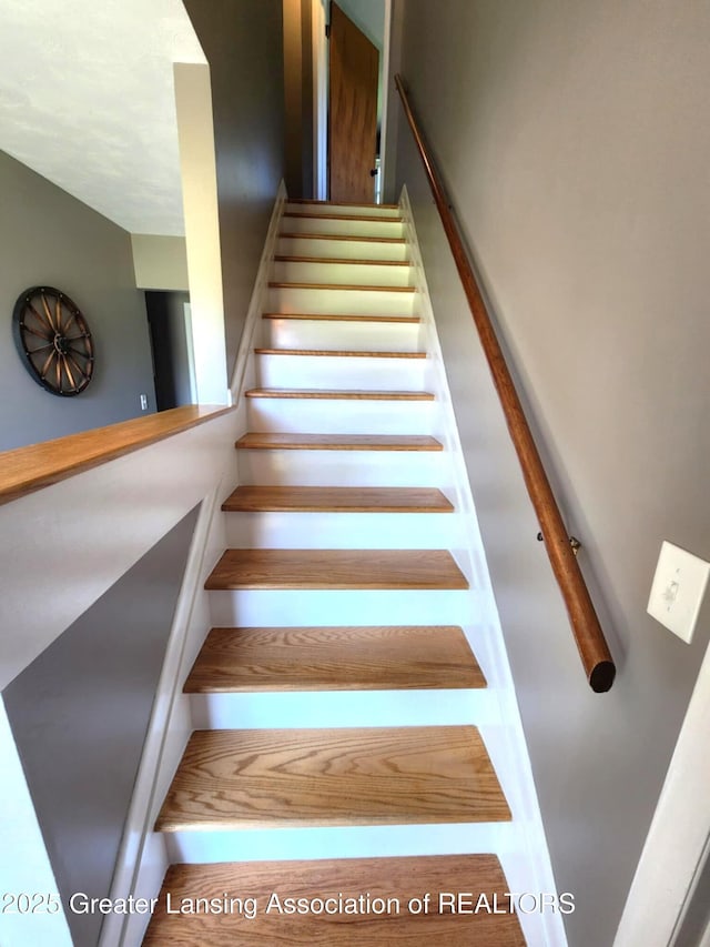 1048 Chris J Dr, Lansing, MI 48917 - view of stairs