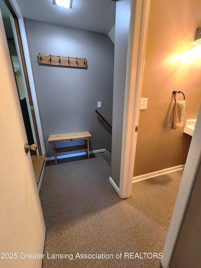 1048 Chris J Dr, Lansing, MI 48917 - walk in closet with carpet flooring