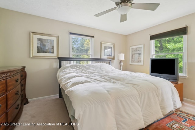 5080 Cornell Rd, Okemos, MI 48864 - bedroom with carpet floors, multiple windows, and baseboards