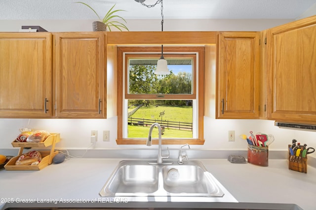 2335 N Concord Rd, Albion, MI 49224 - kitchen featuring a sink, light countertops, and hanging light fixtures