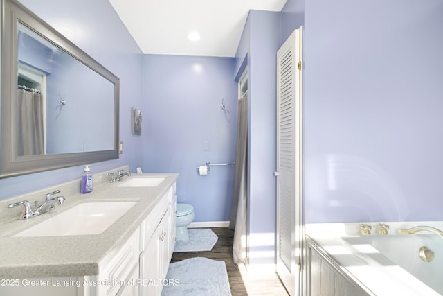2335 N Concord Rd, Albion, MI 49224 - bathroom featuring baseboards, wood finished floors, toilet, double vanity, and a closet