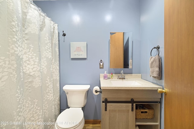 2335 N Concord Rd, Albion, MI 49224 - bathroom with toilet, vanity, and curtained shower