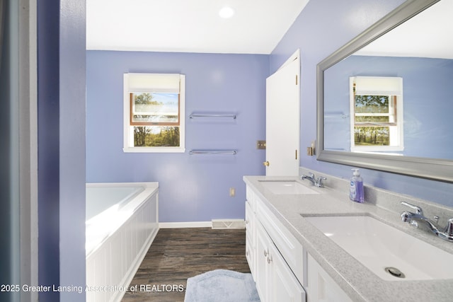 2335 N Concord Rd, Albion, MI 49224 - full bath with wood finished floors, baseboards, a bath, and double vanity