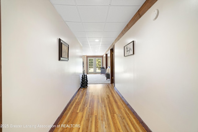 2335 N Concord Rd, Albion, MI 49224 - hallway with light wood-type flooring, a drop ceiling, and baseboards