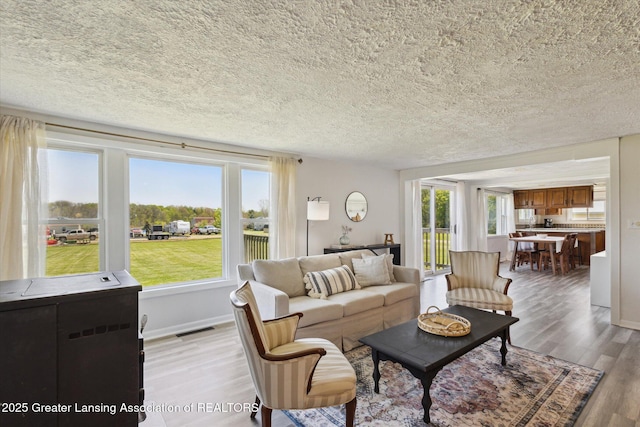 13321 Russell Rd, Lake Odessa, MI 48849 - living area featuring light wood-style floors, a textured ceiling, and baseboards