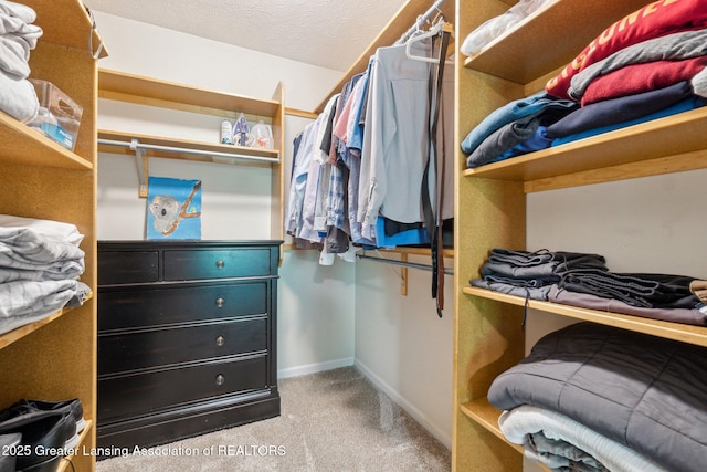spacious closet with carpet flooring
