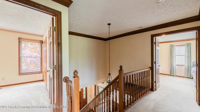 4245 Sandridge Dr, Okemos, MI 48864 - hall featuring an upstairs landing, light colored carpet, plenty of natural light, ornamental molding, and a textured ceiling