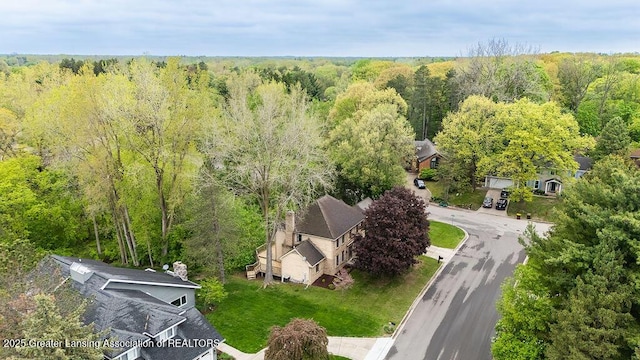 4245 Sandridge Dr, Okemos, MI 48864 - bird's eye view of a forest